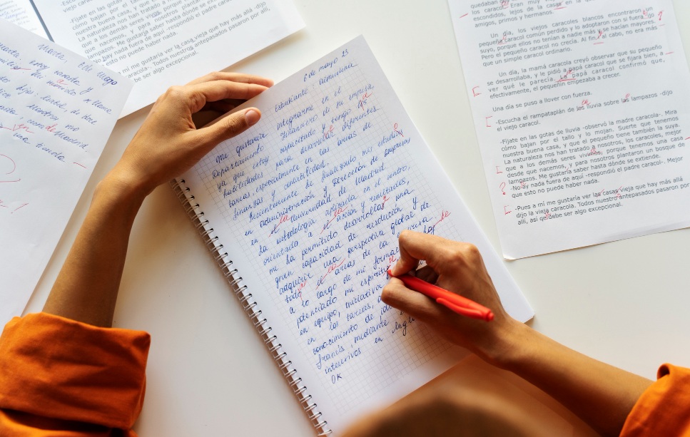 Struktur Penulisan Essay, Mahasiswa Baru harus Tau
